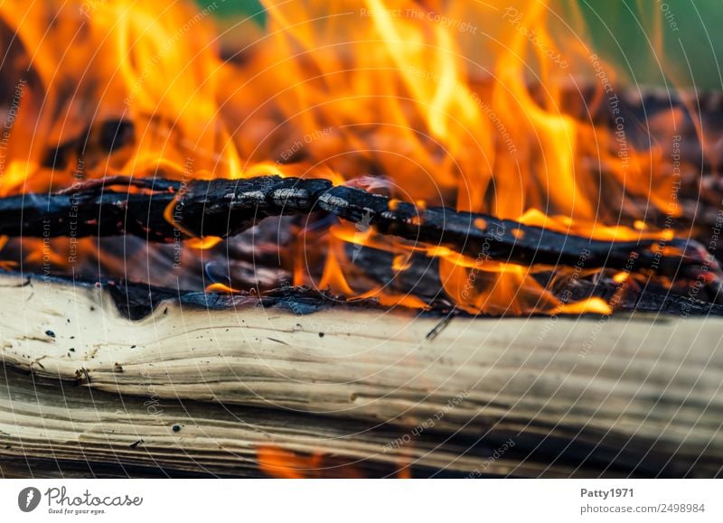 Burning wood Adventure Fireplace Environment Nature Elements Wood Hot Yellow Orange Red Black Threat Environmental pollution Destruction Colour photo