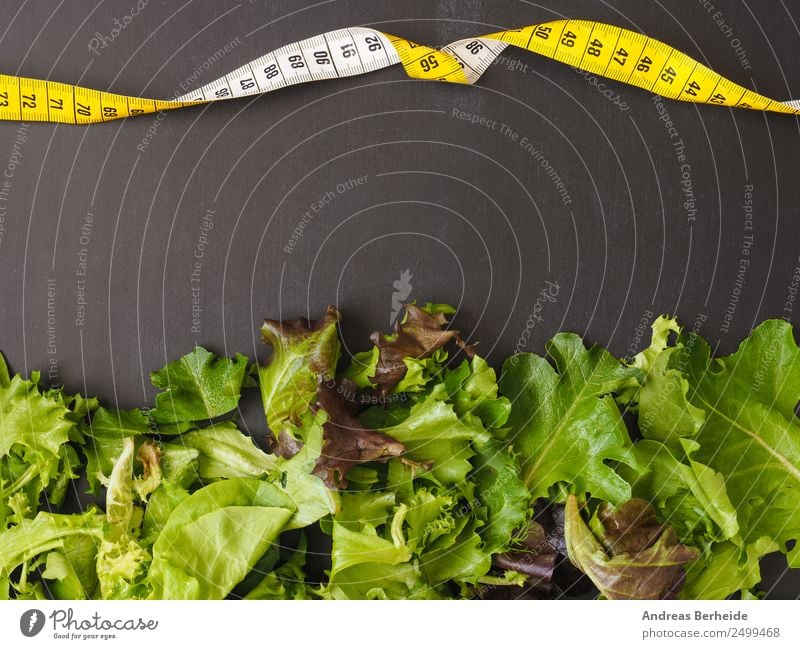 Fresh leaf salad with a measuring tape on a board Lettuce Salad Organic produce Vegetarian diet Diet Lifestyle Healthy Eating Restaurant Snowboard Blackboard