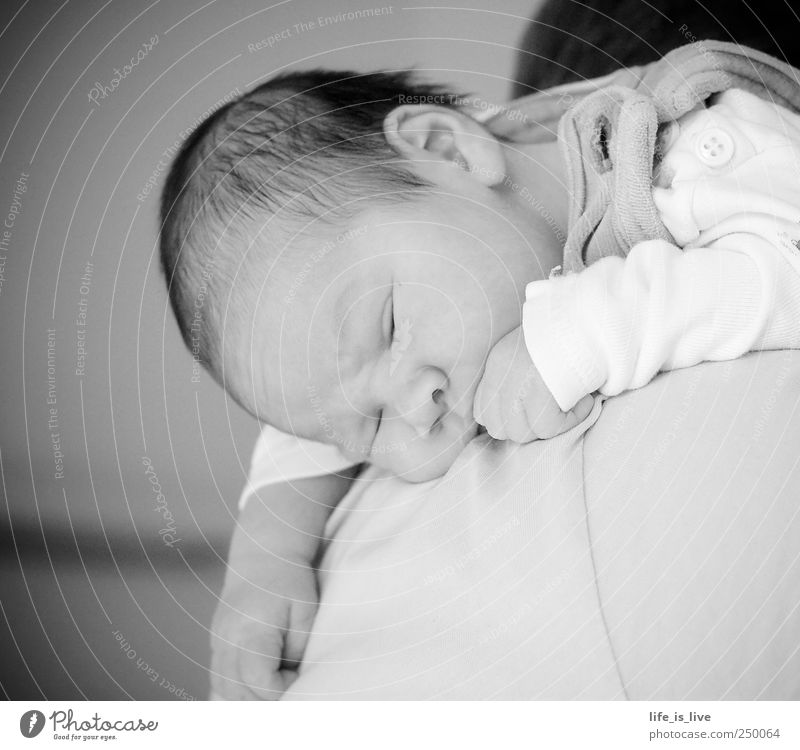 bottled Harmonious Well-being Relaxation Calm Baby Parents Adults Face 0 - 12 months Brunette Hang Lie Sleep Dream Cute Joie de vivre (Vitality) Responsibility