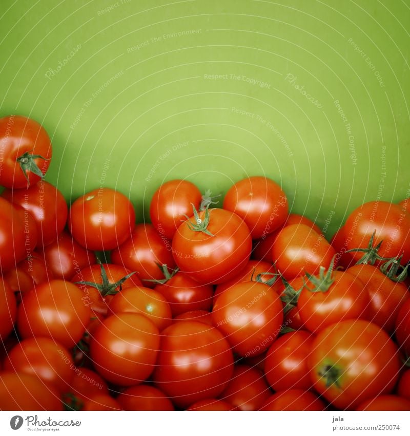 tomatoes Food Vegetable Tomato Nutrition Organic produce Vegetarian diet Healthy Delicious Natural Green Red Colour photo Exterior shot Deserted Copy Space top
