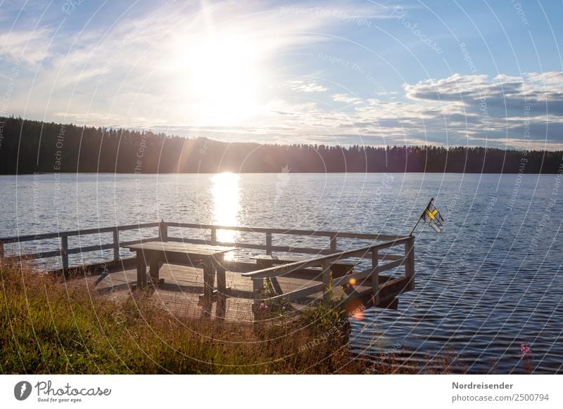 Swedish Summer Vacation & Travel Freedom Camping Summer vacation Sun Nature Landscape Water Clouds Sunrise Sunset Beautiful weather Grass Meadow Forest Lakeside