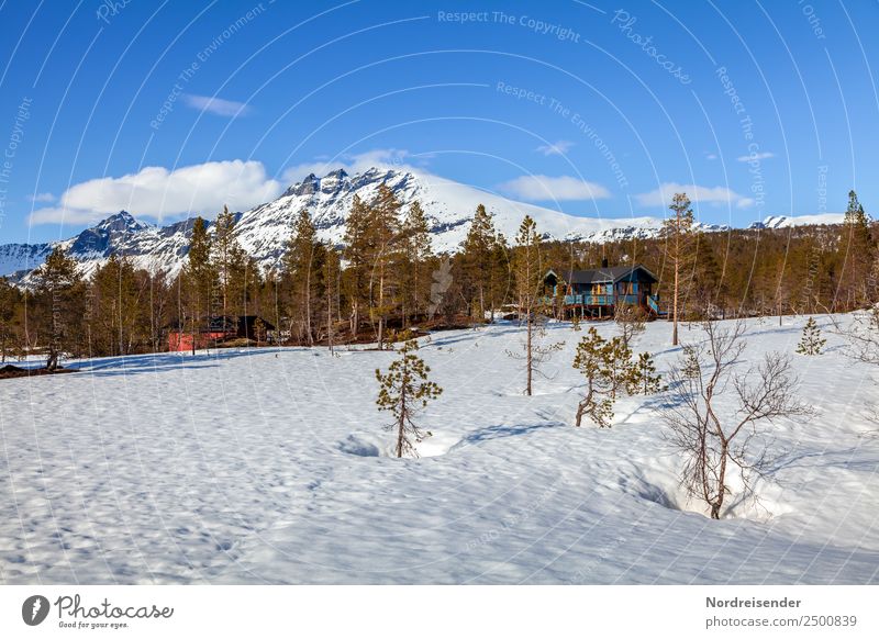 Holiday homes in the mountains Vacation & Travel Tourism Trip Winter Snow Winter vacation Nature Landscape Sky Clouds Spring Climate Beautiful weather Ice Frost