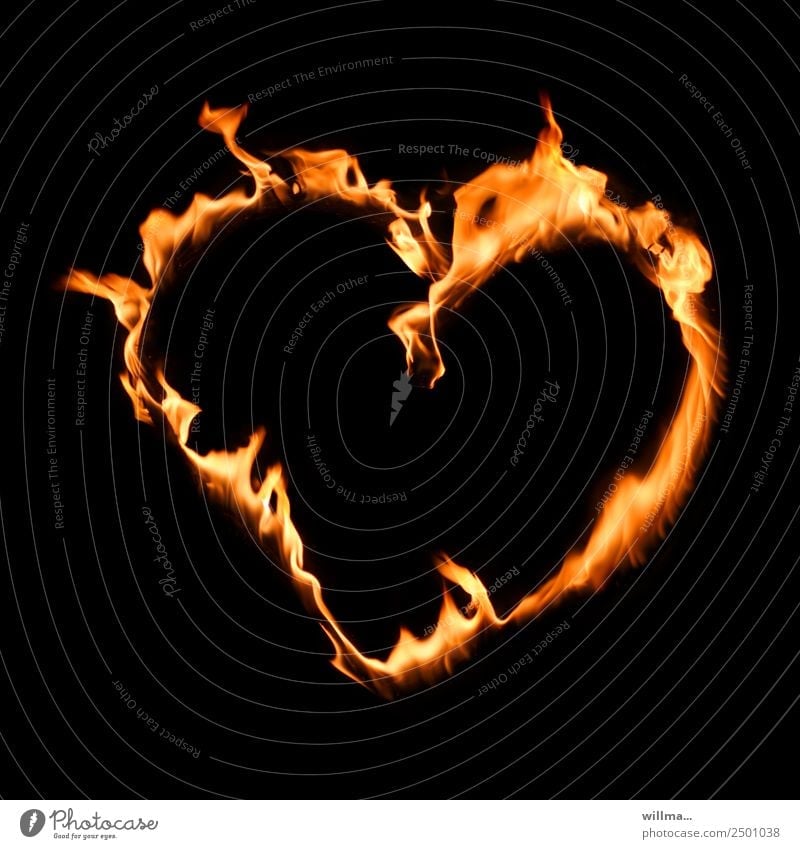 heart instead of rush Heart Burn Valentine's Day Mother's Day Fire Loyalty Love Humanity Slogan Night Fireheart Sincere Neutral Background symbol sensation