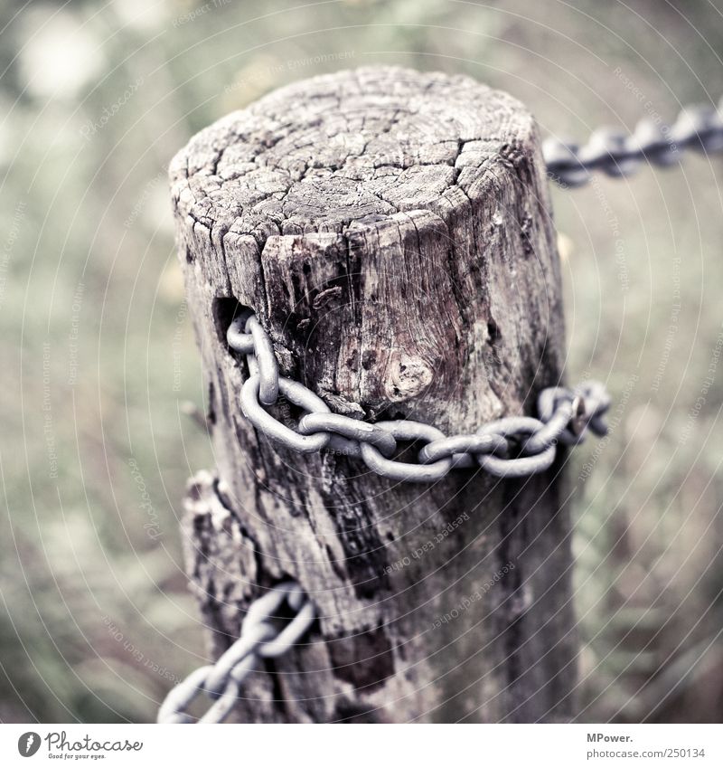 concatenation Wood Attachment Tree trunk Chain Iron Brittle Connectedness Wooden stake Fence Fence post Chain link Annual ring Old Tree bark Square Branch