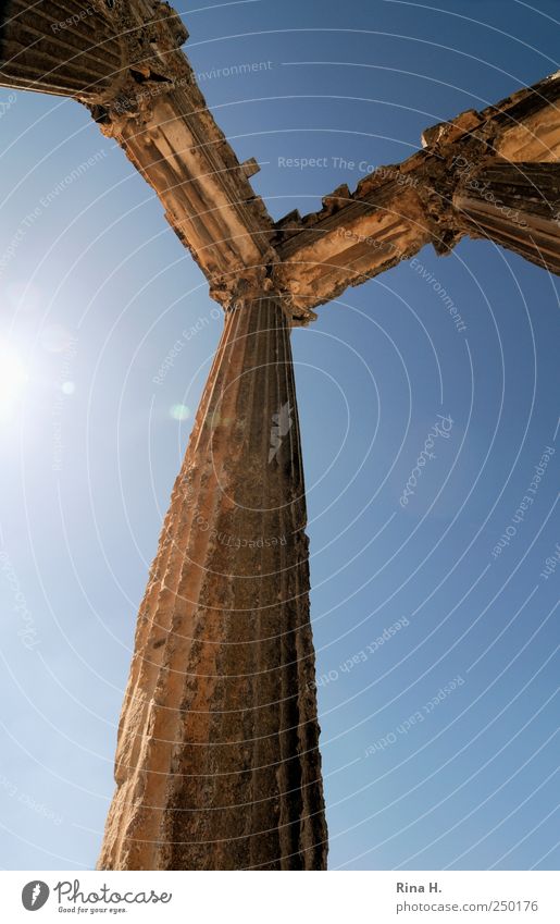 Nothing is for eternity Vacation & Travel Tourism Trip Sightseeing Dougga Tunisia Architecture Column Tourist Attraction Illuminate Authentic Gigantic Historic
