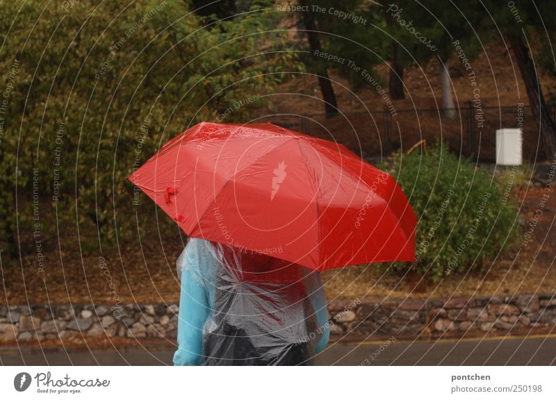 Woman protects herself from rain with a red umbrella. Tourist. Human being Masculine Back 1 Clothing Protective clothing Umbrella Freeze Rain Rain jacket Red