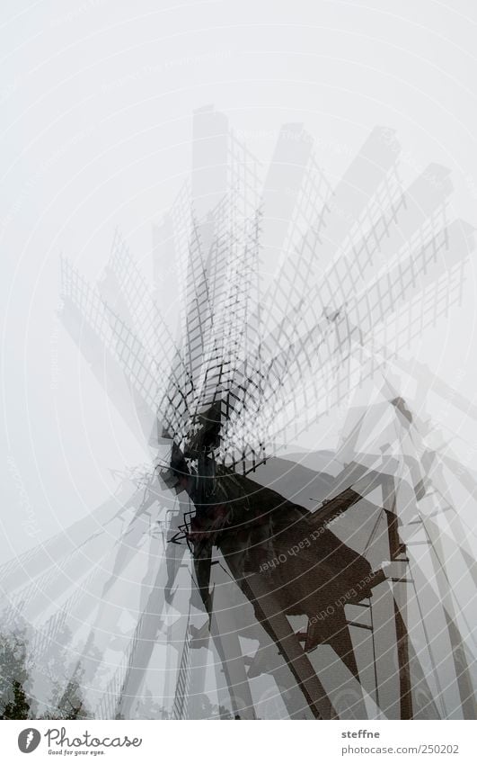 spinning around dare Netherlands Rotate Mill Windmill Windmill vane Movement Double exposure Subdued colour Exterior shot Experimental Copy Space top