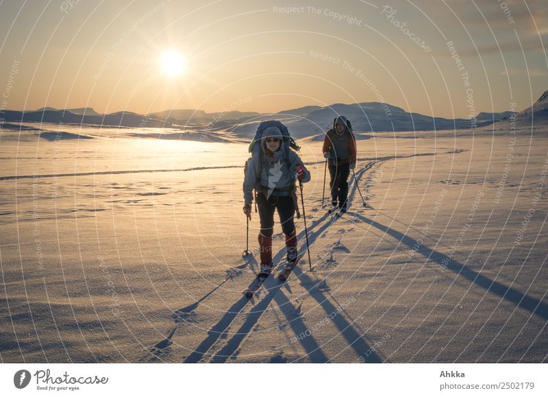 Warm winter landscape in the sunset with skiers Vacation & Travel Adventure Far-off places Winter vacation Skiing 2 Human being Horizon Sun Ice Frost Snow