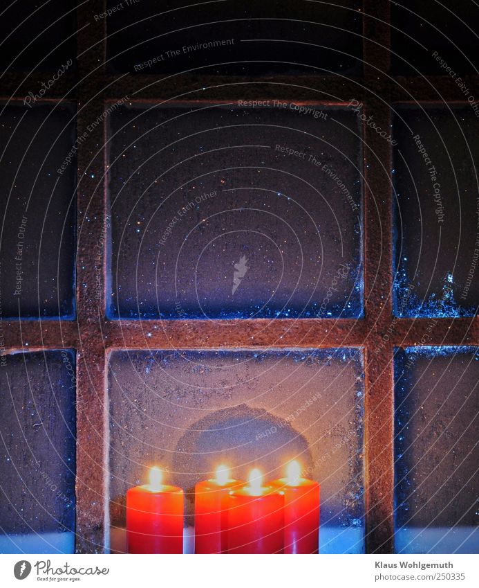 Advent. Four red candles burn in front of a frosted mullioned window with ice flowers Winter Snowfall Glass Gold Steel Crystal Freeze Glittering Illuminate Blue
