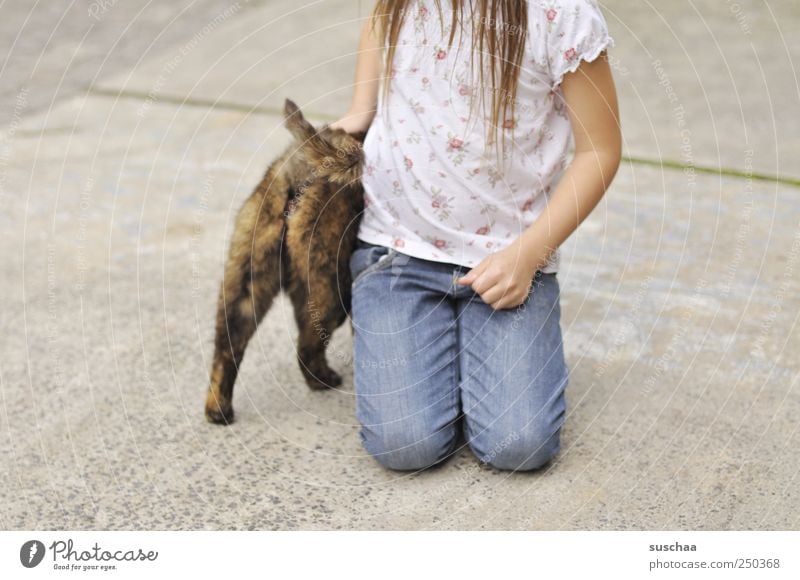 katzenpo .. Girl Infancy Hair and hairstyles Hand 1 Human being 3 - 8 years Child Animal Pet Cat Concrete Touch Sympathy Love of animals cat bottom Legs Arm