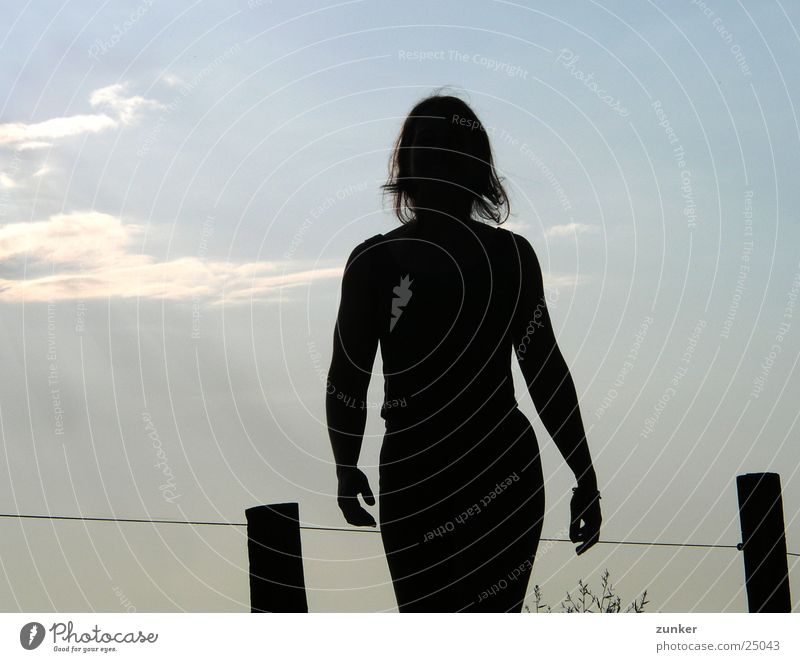 Sun in your back Back-light Woman Feminine Black Slate blue Fence Clouds Sky Shadow Structures and shapes
