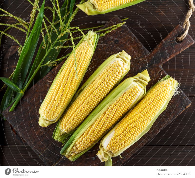 Fresh Ripe Corn Cobs A Royalty Free Stock Photo From Photocase