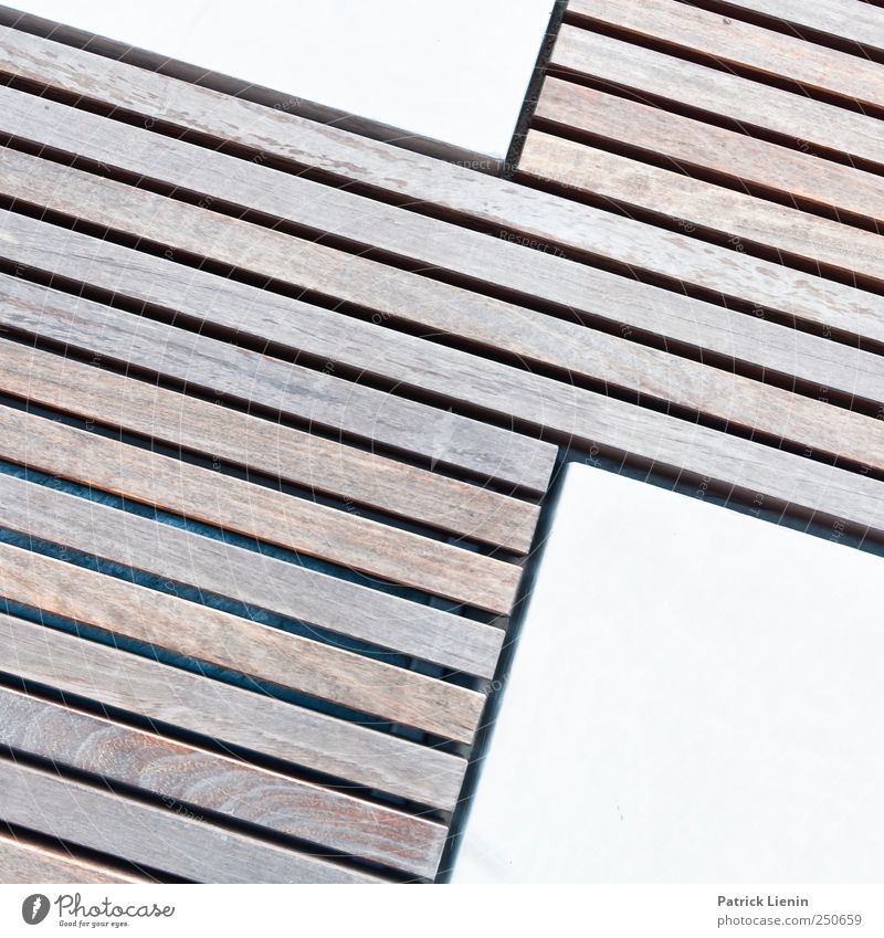 city zebra Art Work of art Places Exceptional Wood Wooden board Line Structures and shapes Colour photo Exterior shot Close-up Detail Pattern Deserted