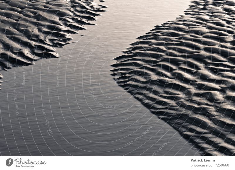 Spiekeroog Illusion. Beach Ocean Waves Environment Nature Landscape Elements Earth Sand Water Weather Beautiful weather Coast North Sea Wet Ripple