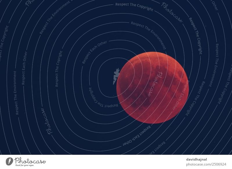 Lunar Eclipse 27 July 2018: Evening Twilight Far-off places Freedom Expedition Telescope Science & Research Astronomy Environment Nature Sky only Cloudless sky