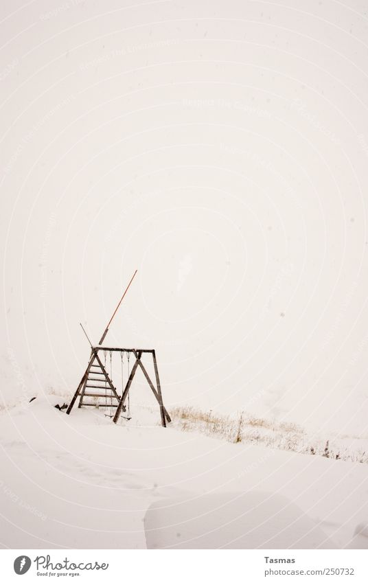 snow blind Landscape Winter Bad weather Fog Snow Playground Playing Fresh Cold Joy Colour photo Subdued colour Exterior shot Deserted Copy Space top