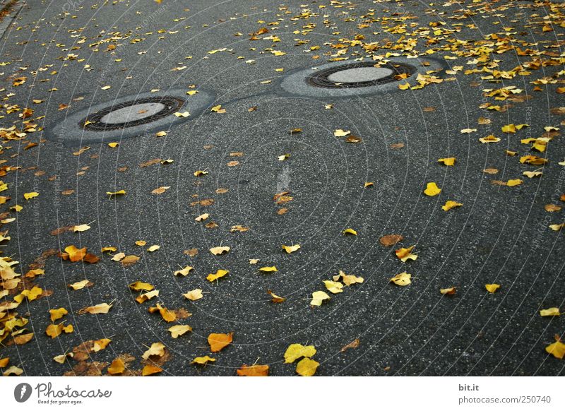 support Environment Autumn Climate Bad weather Traffic infrastructure Lanes & trails chill Yellow Gold Gray Black Street Pavement Asphalt Gully Drainage Gloomy