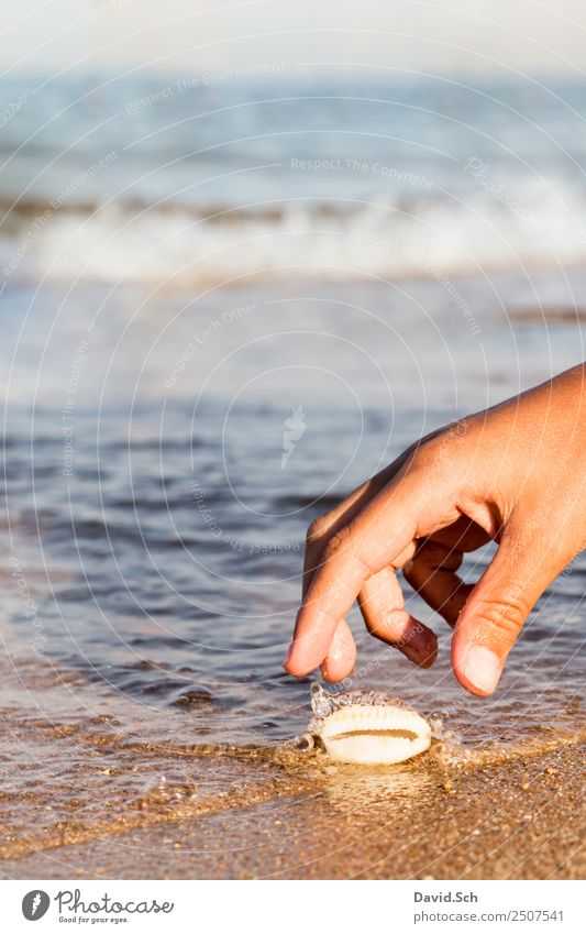 Child's hand reaches for a cowrie shell on the beach Leisure and hobbies Vacation & Travel Summer Summer vacation Beach Ocean Waves Hand Fingers 8 - 13 years