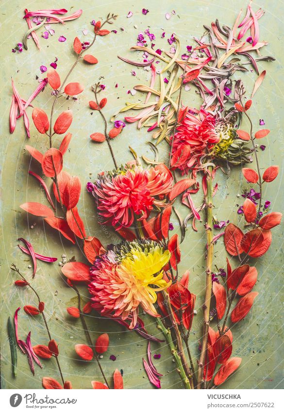 Flowers Still Life with Chrysanthemums and Red Branches Style Design Summer Decoration Feasts & Celebrations Nature Plant Autumn Leaf Blossom Bouquet Jump