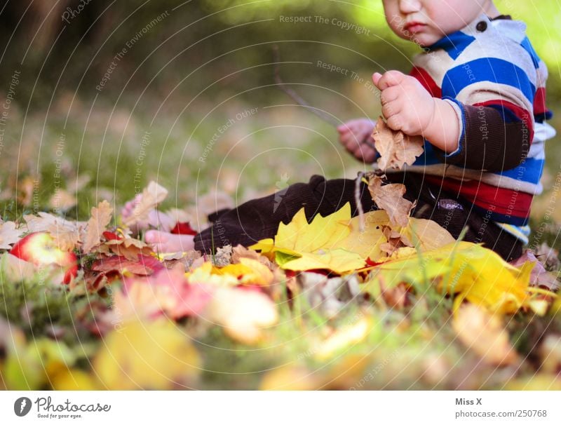 Fipsi has fun Human being Baby Toddler Infancy 1 0 - 12 months 1 - 3 years Nature Beautiful weather Grass Leaf Park Sit Multicoloured Yellow Emotions Joy