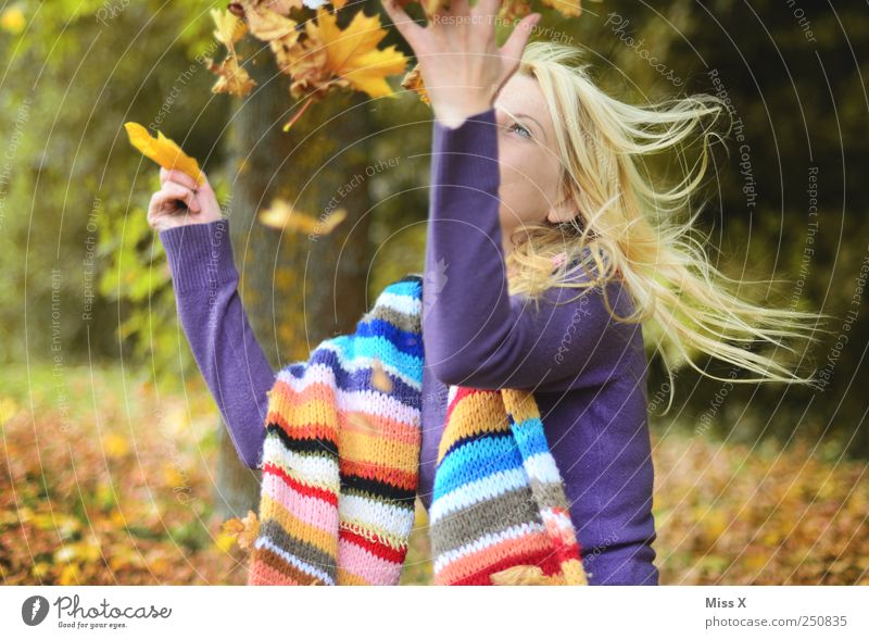 Autumn Leisure and hobbies Human being Young woman Youth (Young adults) 1 18 - 30 years Adults Beautiful weather Tree Leaf Garden Forest Flying Laughter Throw
