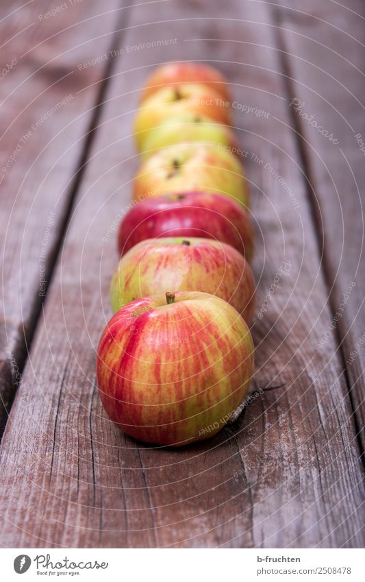 a series of apples Food Fruit Organic produce Vegetarian diet Healthy Eating Summer Autumn Wood Select Fresh To enjoy Apple Row Arrangement Apple harvest
