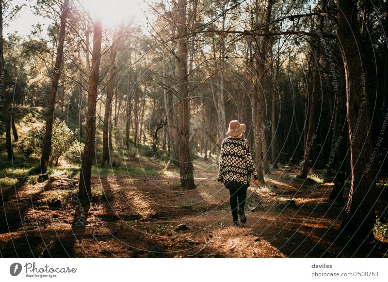 Young woman with hat taking a walk in the deep forest at sunset. Lifestyle Joy Vacation & Travel Adventure Freedom Sightseeing Mountain Hiking Human being