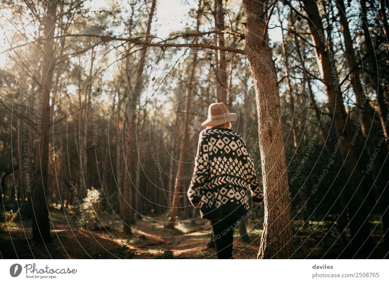 Young woman taking a walk in the forest Lifestyle Joy Beautiful Leisure and hobbies Vacation & Travel Adventure Hiking Human being Feminine Youth (Young adults)