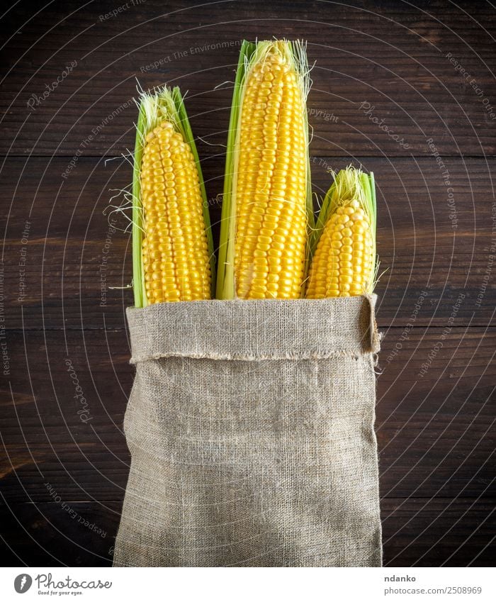 ripe yellow corn cobs Vegetable Nutrition Vegetarian diet Table Wood Old Eating Fresh Natural Above Brown Yellow bag agriculture background Farm food grain