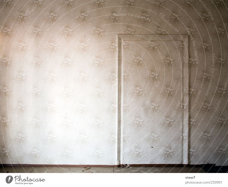 mimicry Redecorate Wallpaper Wall (barrier) Wall (building) Door Line Stripe Old Exceptional Uniqueness Cold Elegant Apocalyptic sentiment Eternity Arrangement