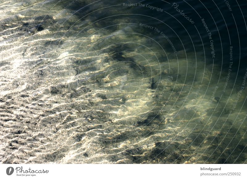 Follow The River Swimming & Bathing Environment Nature Elements Water Summer Coast Lakeside River bank Pond Fluid Wet Brown Gray Green Black White Waves Sand