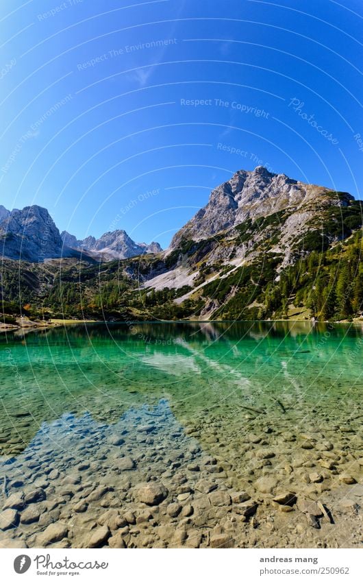Clear Worlds Environment Nature Water Summer Beautiful weather Alps Mountain Peak Lakeside Fresh Green Adventure Loneliness Discover Relaxation Freedom