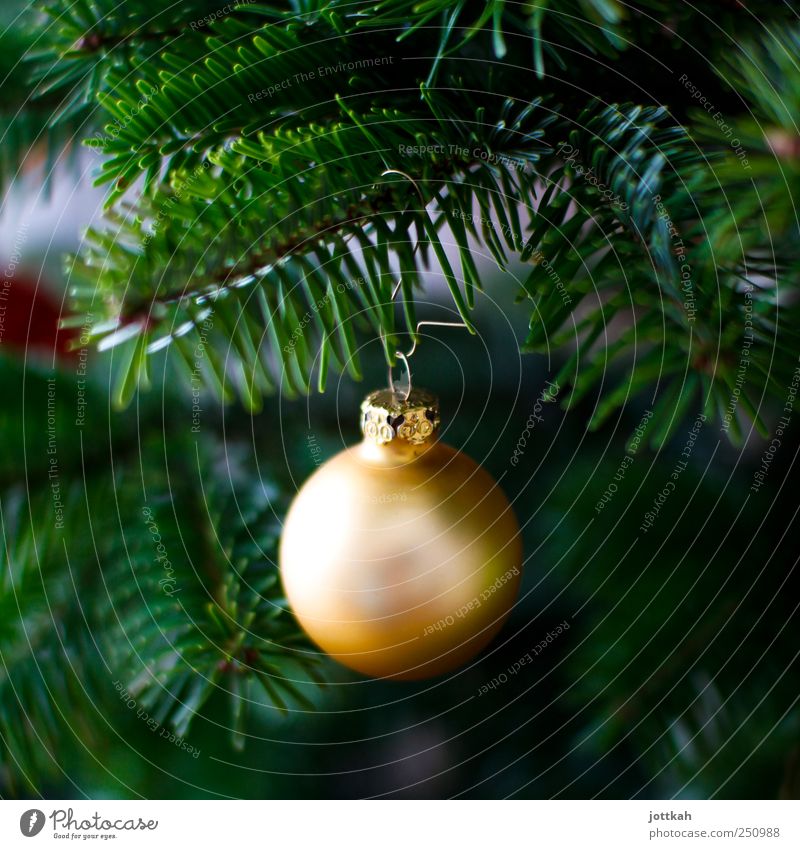 a matt golden Christmas bauble hangs from the branch of a Christmas tree Decoration Elegant Round pretty Gold Green Christmas & Advent Glitter Ball Sphere Hang