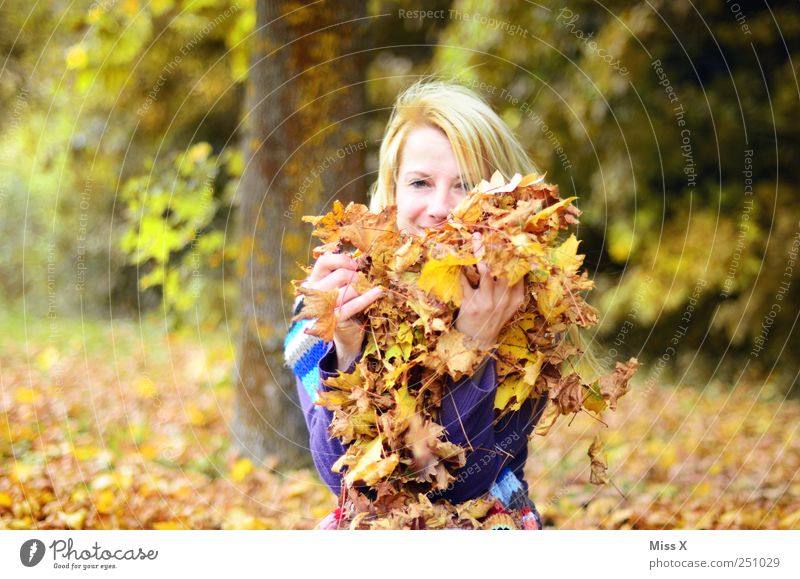 in a pile of leaves Playing Human being Feminine Young woman Youth (Young adults) 1 18 - 30 years Adults Nature Autumn Beautiful weather Tree Leaf Garden Park