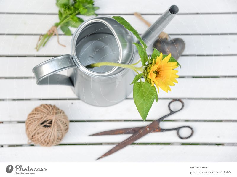 Sunflower in a watering can from above with heart Well-being Leisure and hobbies Garden Decoration Birthday Work and employment Gardening Closing time Tool Rope