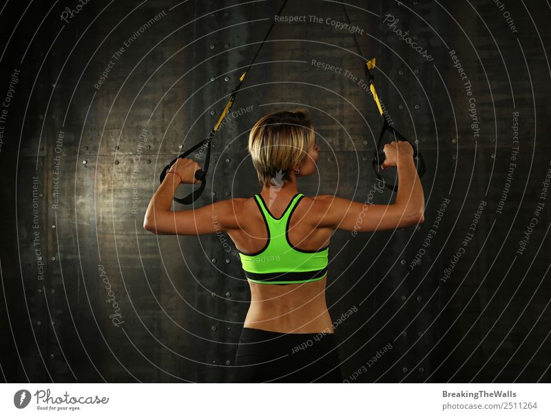 Rear view portrait of one young athletic woman at crossfit training, exercising with trx suspension fitness straps over dark background Lifestyle Sports Fitness