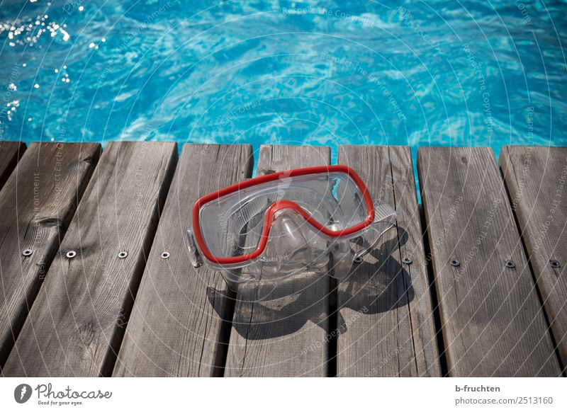 diving goggles Life Swimming pool Swimming & Bathing Vacation & Travel Summer vacation Sunlight Eyeglasses Leisure and hobbies Joy Diving goggles Dive Blue