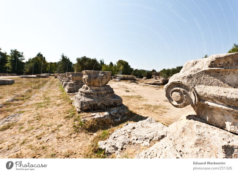 Olympic Games Ruin Past Greece Olympia Peloponnese Olympics Column Architecture Antiquity Manmade structures Building Temple ionic columns Colour photo