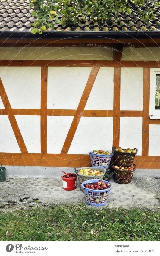 harvest time in chamansülz Village Detached house Manmade structures Building Architecture Wall (barrier) Wall (building) Facade Roof Concrete Wood Line