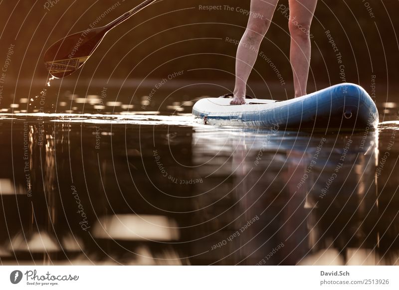 Partial view of Stand-Up-Paddler in action Leisure and hobbies Summer Summer vacation Sports Aquatics Feminine Woman Adults Legs Feet 1 Human being Lake River