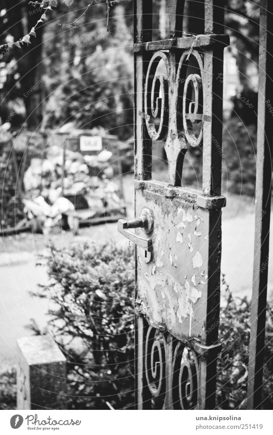 beginning of end Park Cemetery peaceable Door Entrance Gate Beginning Death Grief Transience Lose Wrought ironwork Black & white photo Exterior shot Detail
