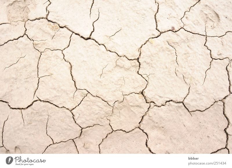 Dried and cracked earth Summer Environment Nature Landscape Earth Sand Climate Climate change Weather Drought Desert Dirty Hot Natural Brown Gray Death Disaster