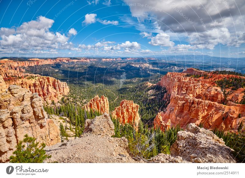 Bryce Canyon National Park, USA. Vacation & Travel Adventure Far-off places Freedom Expedition Camping Summer Summer vacation Mountain Hiking Nature Landscape