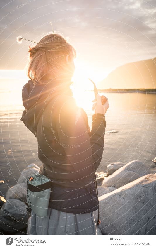 Backlight shot of young woman with pipe and flower in hair in portrait in back view in midnight sun on beach of fjord Freedom Young woman Nature Rock Ocean