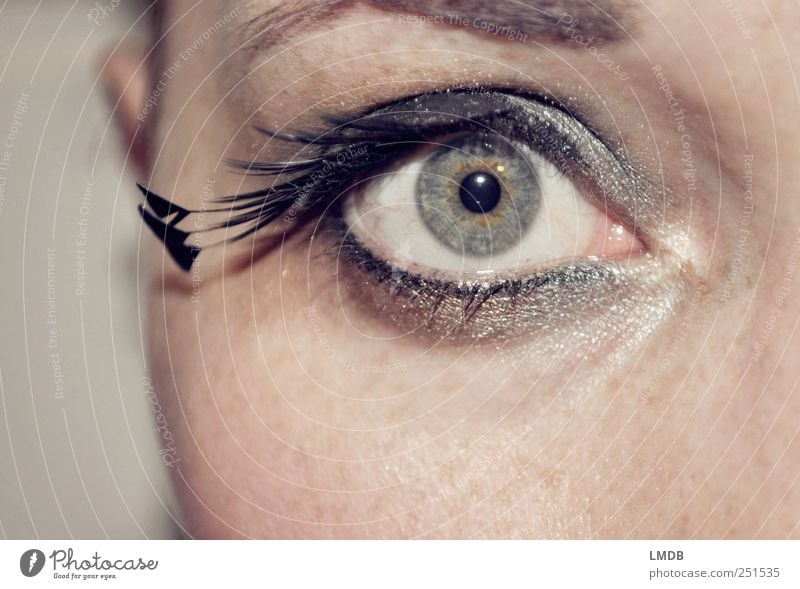 Peacock Eye Style Beautiful Face Make-up Mascara Human being Feminine Eyes 1 Esthetic Glittering Black Silver Cool (slang) Desire Curiosity Surprise Conceited