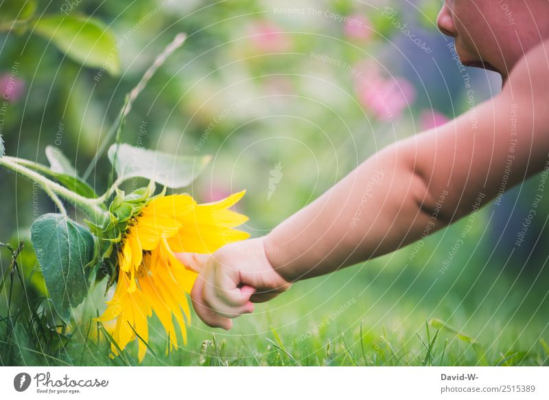 On the way in garden VIII Human being Child Baby Toddler Girl Boy (child) Infancy Life Mouth Fingers 1 0 - 12 months Environment Nature Summer Beautiful weather