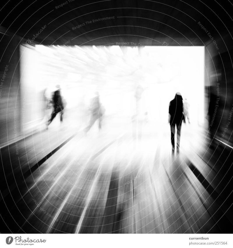 please oscillate them.... Concrete Line Stripe Beginning Fear Effort Esthetic Change Group Human being Tunnel vision Underpass Black & white photo Exterior shot