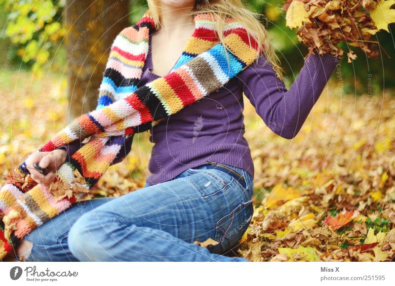 with verve Human being Feminine Young woman Youth (Young adults) 1 18 - 30 years Adults Nature Autumn Beautiful weather Leaf Garden Throw Happiness