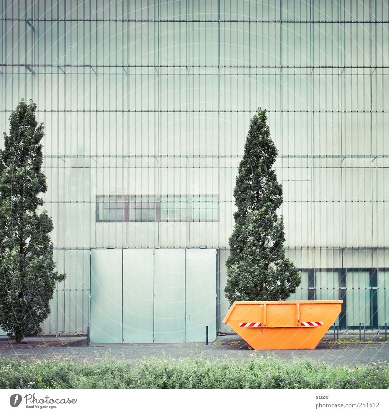 container Art Museum Culture Tree Meadow Town Manmade structures Architecture Facade Window Container Growth Tall Gloomy Green Orange Arrangement Change