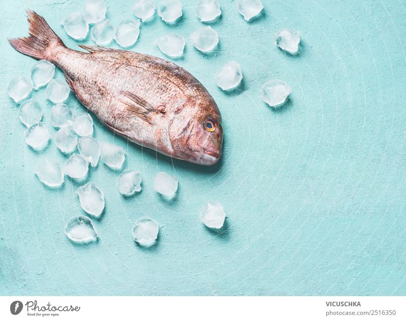 Raw whole fish on light turquoise background with ice cubes, top view. Seafood concept. Pink dorado. Cooking preparation above cooking cuisine delicious Dorado